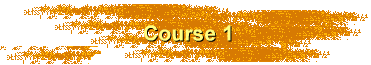 Course 1