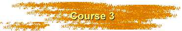 Course 3